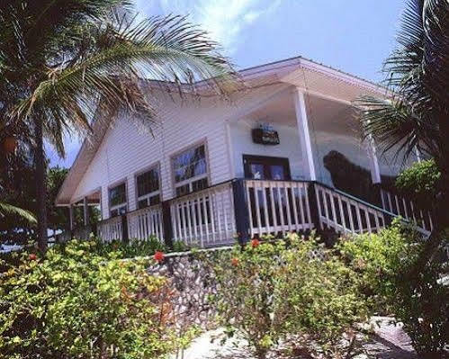 Paradise Villas Blossom Village المظهر الخارجي الصورة